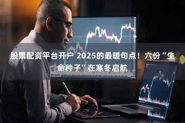 股票配资平台开户 2025的最暖句点！六份“生命种子”在寒冬启航
