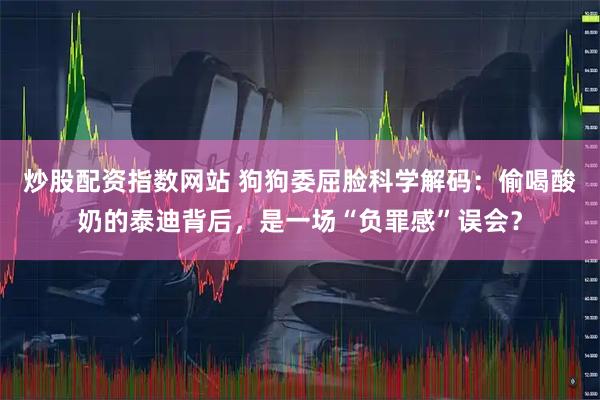 炒股配资指数网站 狗狗委屈脸科学解码:偷喝酸奶的泰迪背后,是一场“负罪感”误会?
