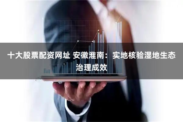 十大股票配资网址 安徽淮南：实地核验湿地生态治理成效
